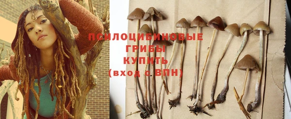 тгк Канск