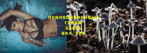 бошки Нязепетровск