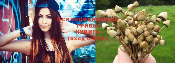 бошки Нязепетровск