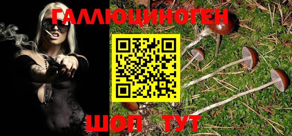 Псилоцибиновые грибы Psilocybine cubensis  Галлюциногенные грибы Magic Shrooms  Вход с VPN  Кингисепп 