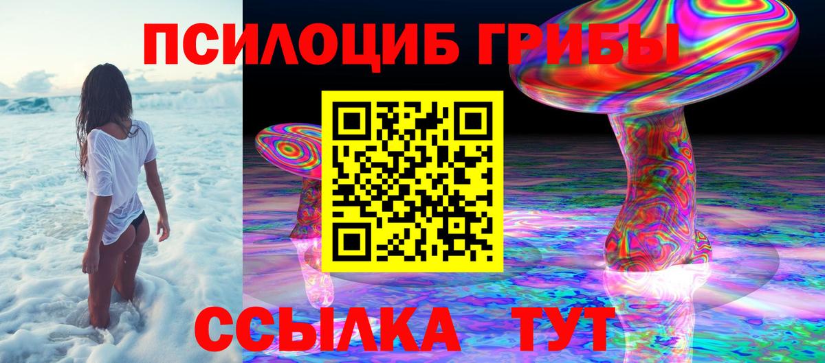 Галлюциногенные грибы MAGIC MUSHROOMS Кингисепп