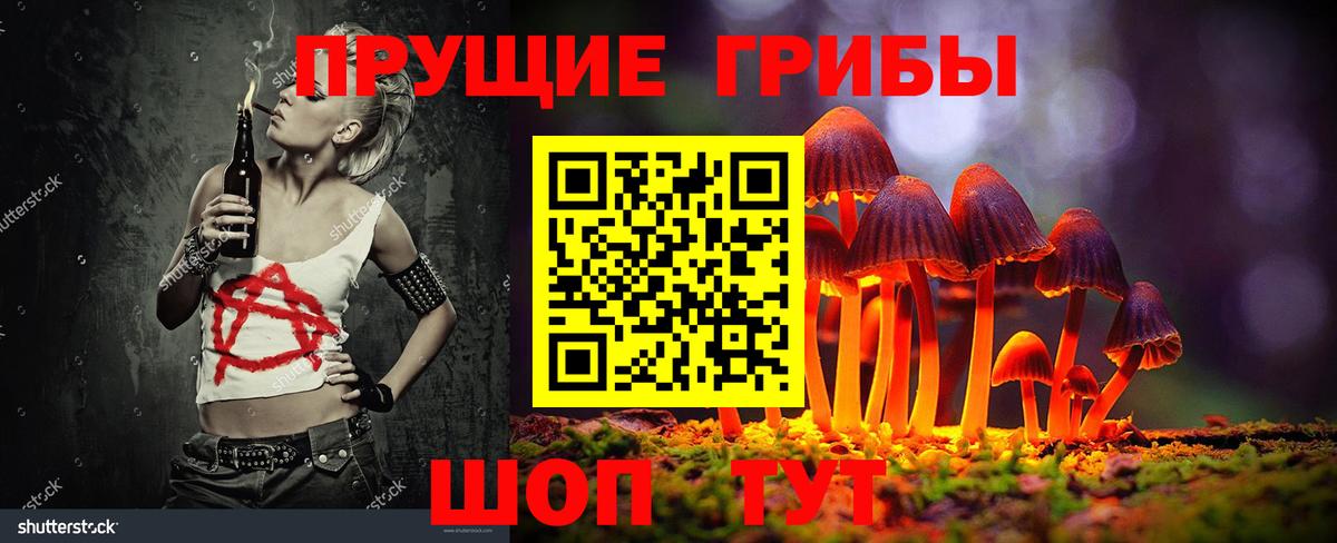 что такое   Кингисепп  Псилоцибиновые грибы GOLDEN TEACHER 