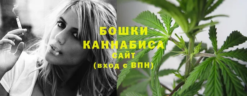 shop какой сайт  Кингисепп  Канабис OG Kush 