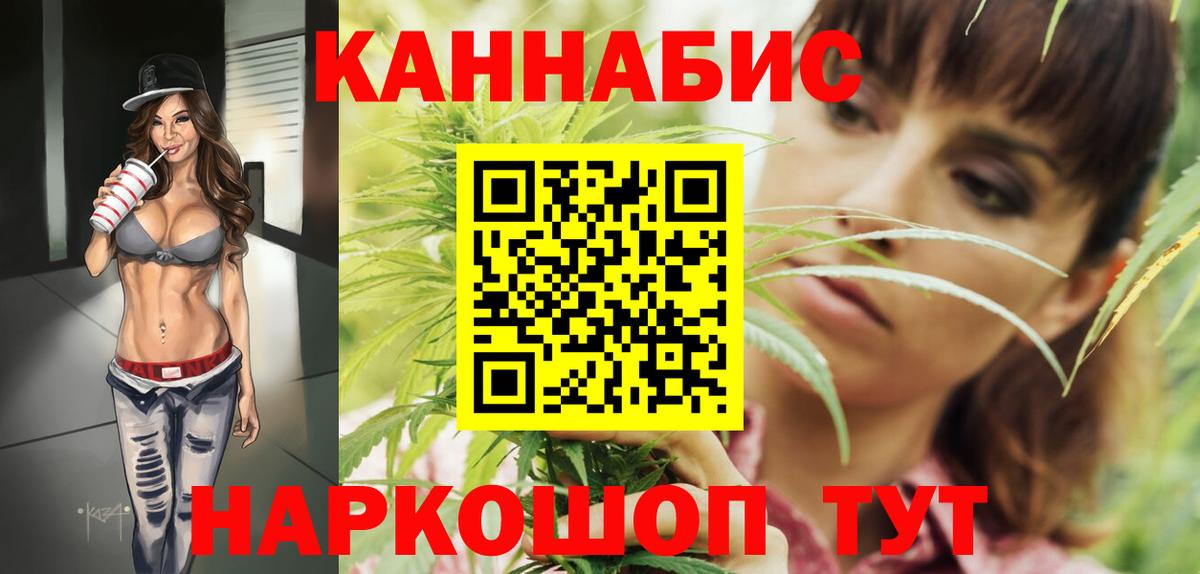 Бошки Шишки планчик Кингисепп